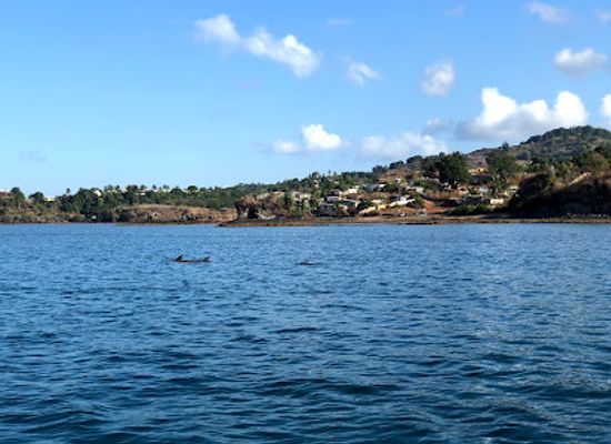 mayotte/mamoudzou/landmark/seablue