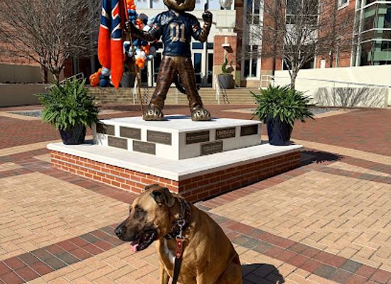 alabama/auburn/landmark/auburn-university-student-center