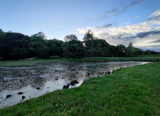 ireland/county-galway/landmark/barna-woods