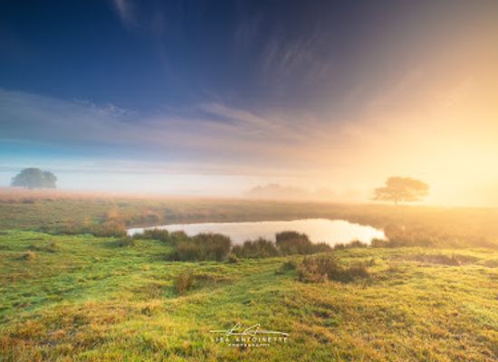 netherlands/hoge-veluwe-national-park/landmark/terletse-heide-nationaal-park-veluwezoom