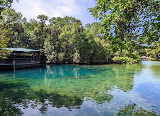 florida/homosassa-springs/landmark/homosassa-springs-wildlife-park-visitor-center