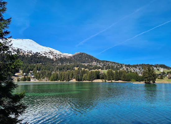switzerland/lenzerheide/landmark/eichhornchenwald