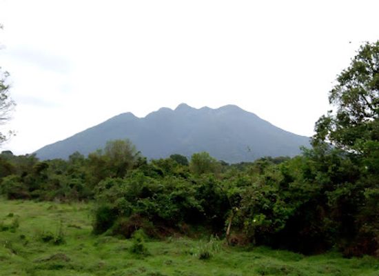 uganda/kigezi/landmark/mgahinga-gorilla-national-park