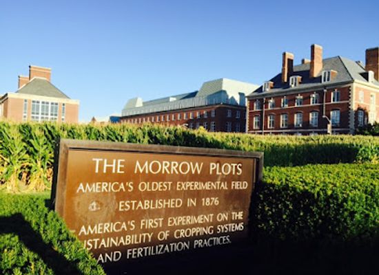 illinois/central-illinois/landmark/morrow-plots