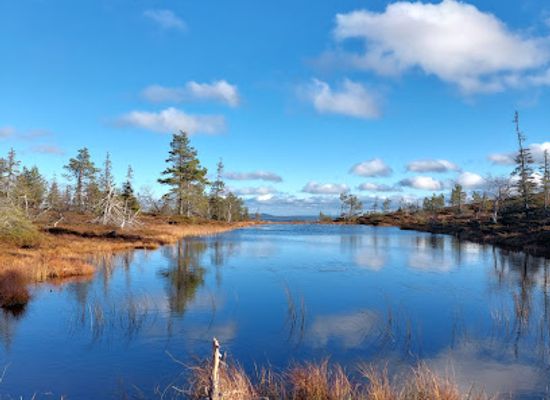 finland/levi/landmark/riisitunturi-national-park