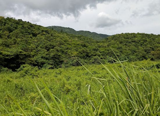 jamaica/santa-cruz-mountains/landmark/bluefields-beach