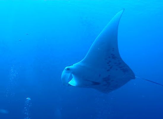palau/ngchelobel/landmark/german-channel