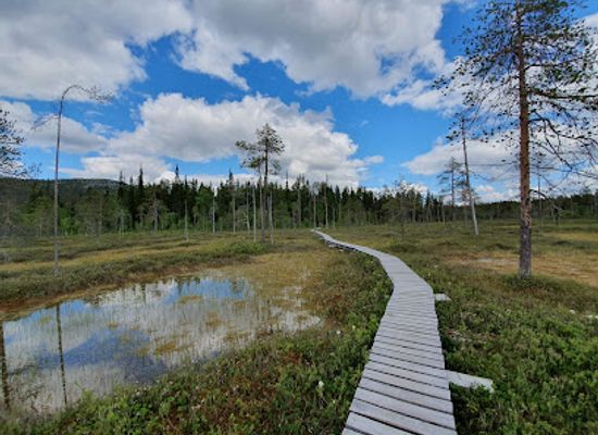 finland/pyha-luosto-national-park/landmark/pyhatunturi