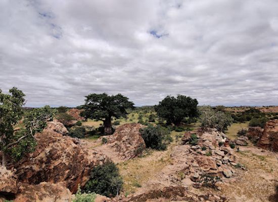 botswana/tuli-block/landmark/northern-tuli-game-reserve