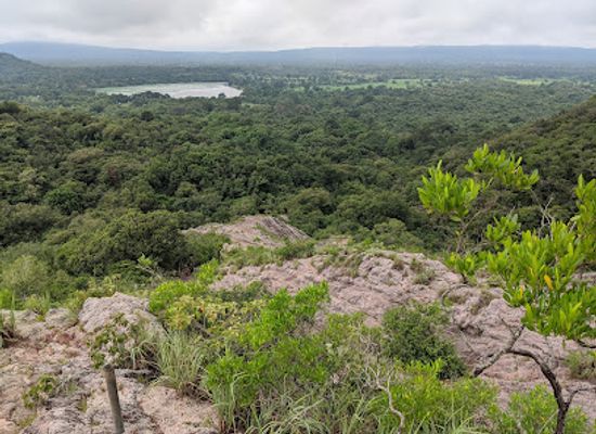 sri-lanka/up-country/landmark/jathika-namal-uyana