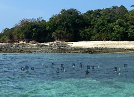 panama/pearl-islands/landmark/coral-dreams