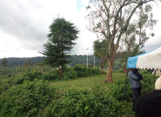 kenya/pokot-region/landmark/kapolet-forest