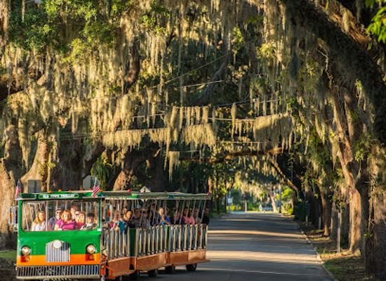 florida/st-augustine-beach/landmark/old-town-trolley-tours-st-augustine