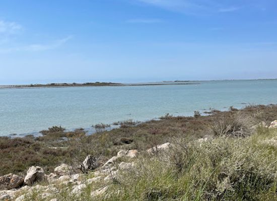 france/camargue/landmark/lighthouse-gacholle