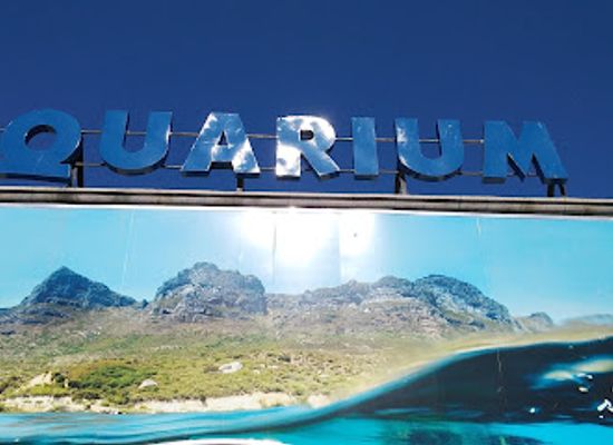 south-africa/cape-town/landmark/two-oceans-aquarium