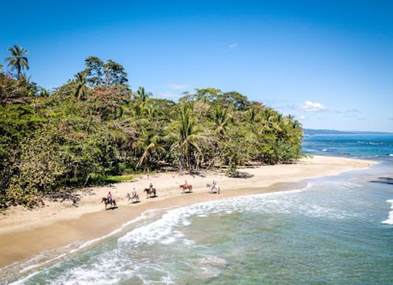 costa-rica/caribbean-coast/landmark/caribe-horse-riding-club