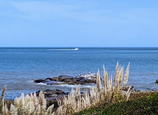 uruguay/piriapolis/landmark/punta-colorada-beach