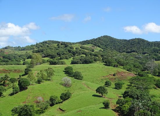 mauritius/chamarel/landmark/bel-ombre-nature-reserve