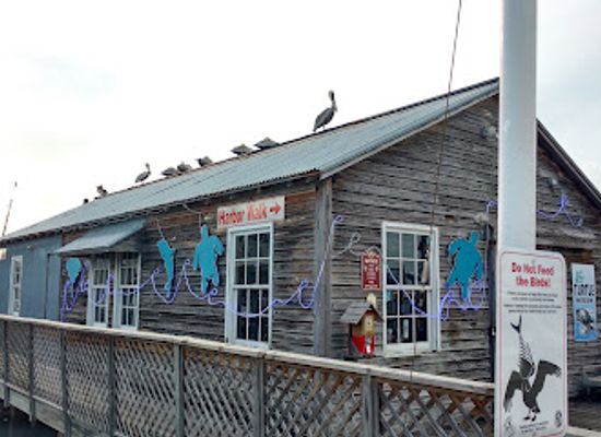 florida/key-west/landmark/turtle-cannery-museum