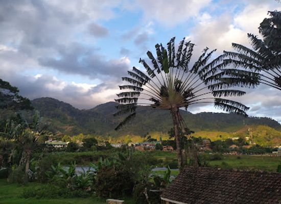 madagascar/haute-matsiatra/landmark/ranomafana-national-park