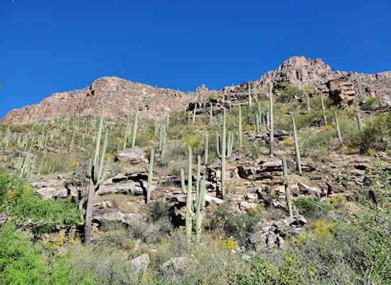 arizona/santa-catalina-mountains/landmark/seven-falls