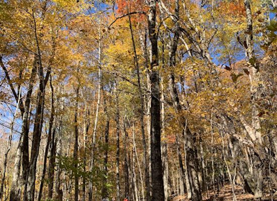 north-carolina/boone/landmark/boone-united-trail