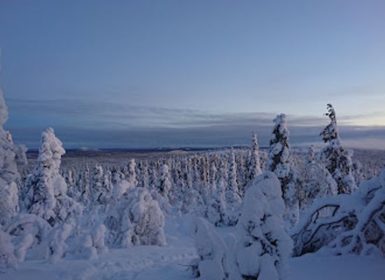 finland/lapland/landmark/pyha-luosto-national-park