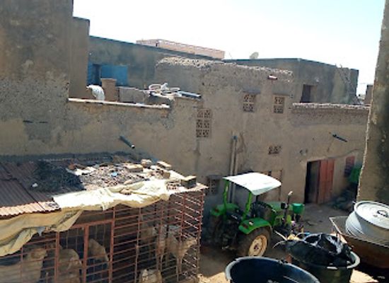 mali/mopti/landmark/barema-bocoum-mopti-starium