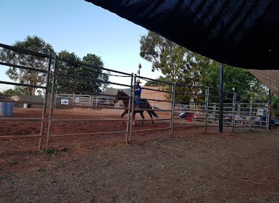 australia/outback/landmark/katherine-outback-experience
