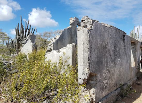 curacao/groot-kwartier/landmark/christoffel-national-park