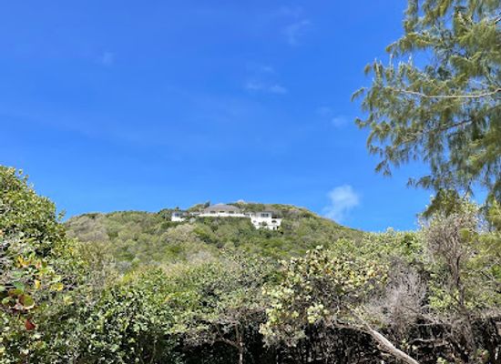 saint-vincent-and-the-grenadines/mustique/landmark/macaroni-beach