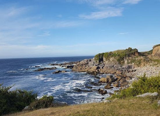 chile/valdivia/landmark/valdivian-coastal-reserve