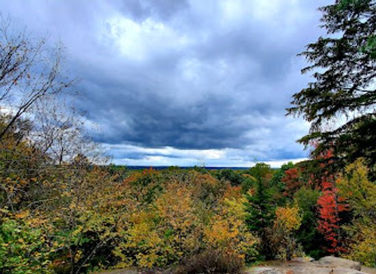 ohio/cuyahoga-valley-national-park/landmark/beaver-marsh
