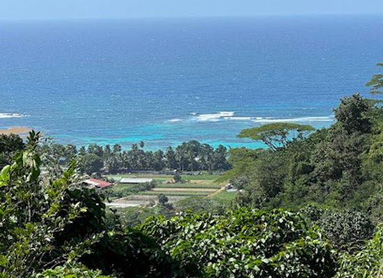 seychelles/ile-platte/landmark/kot-man-ya-exotic-flower-garden