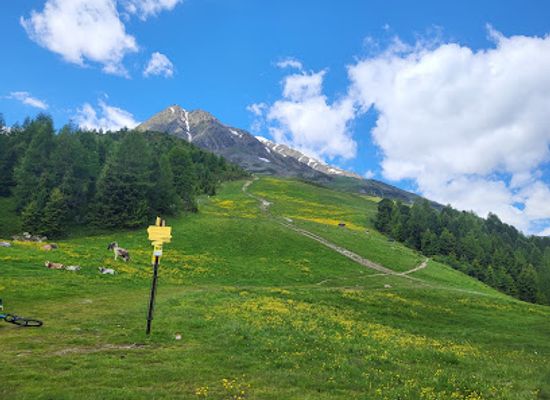 austria/solden/landmark/bikepark-bike-republik-solden