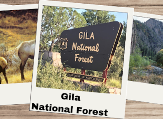 new-mexico/gila-wilderness/landmark/gila-national-forest-supervisors-office