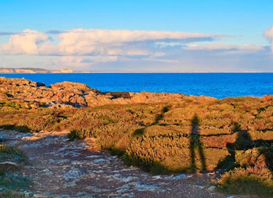 australia/kangaroo-island/landmark/vivonne-bay-beach