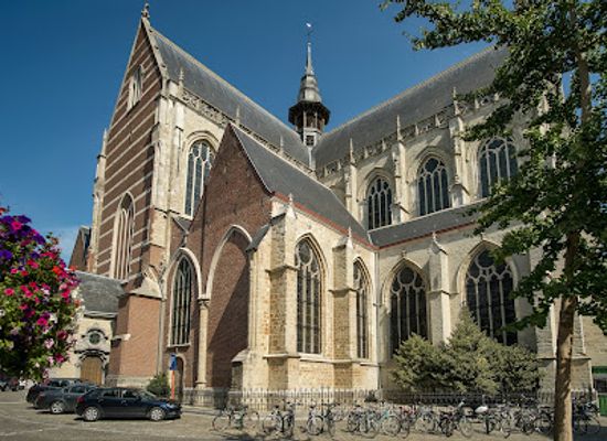 belgium/aalst/landmark/st-martin-s-church