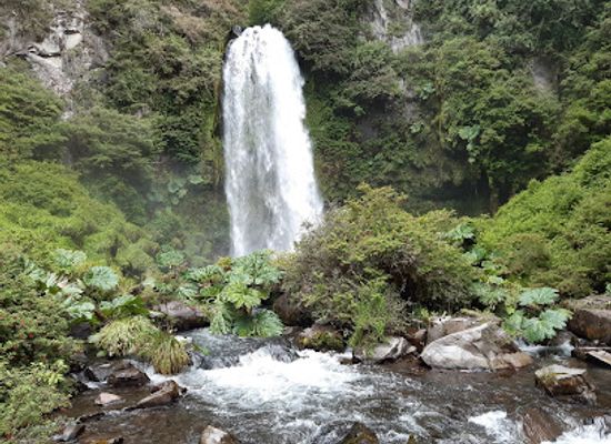 chile/los-rios-region/landmark/termas-el-rincon