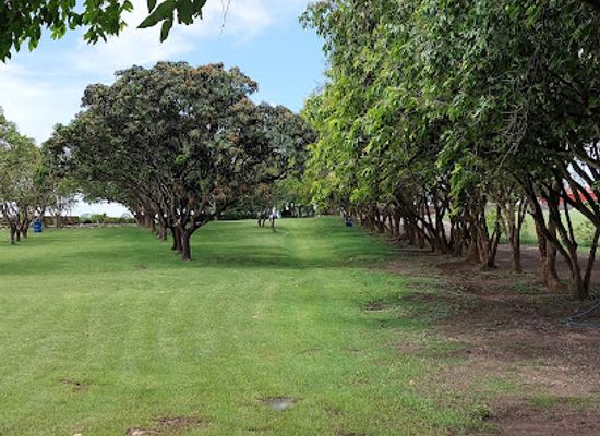 barbados/saint-michael/landmark/national-botanical-gardens