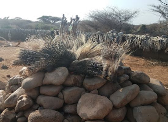 djibouti/dikhil/landmark/decan-refuge