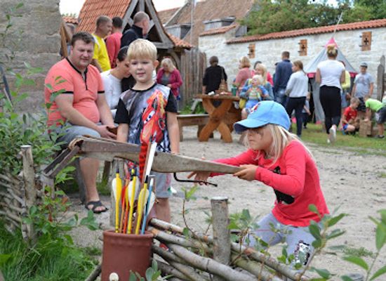 estonia/saaremaa-island/landmark/keskaja-elamuskeskus-medieval-activity-centre-archebald