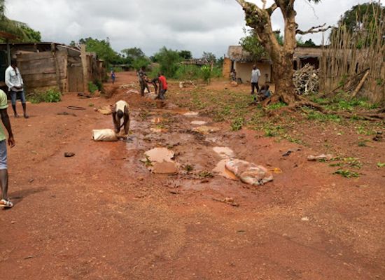 cote-d-ivoire/bas-sassandra/landmark/tai-national-park