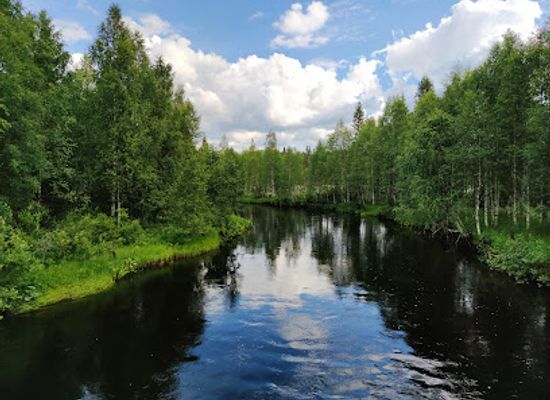 finland/kainuu/landmark/syote-national-park