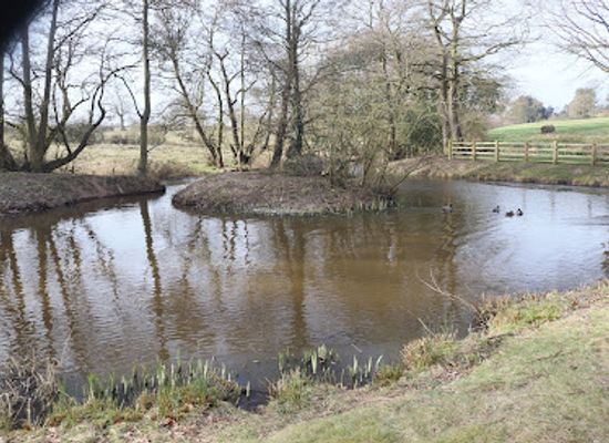 united-kingdom/cheshire/attraction/bunbury-mill-2