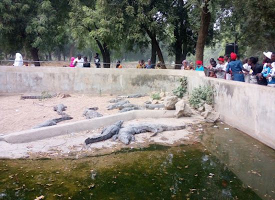 nigeria/maiduguri/landmark/zoo-bridge