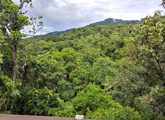 australia/cape-tribulation/landmark/daintree-discovery-centre