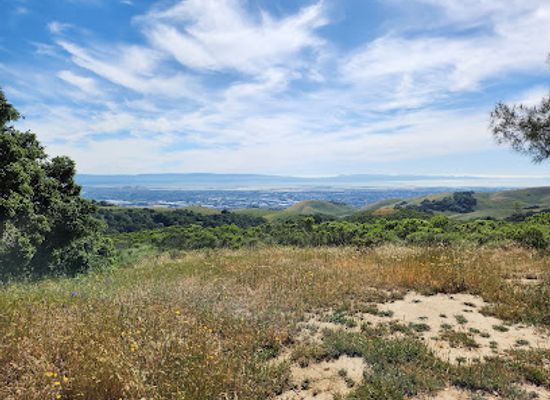 california/union-city/landmark/ukraina-california-historical-landmark-1025