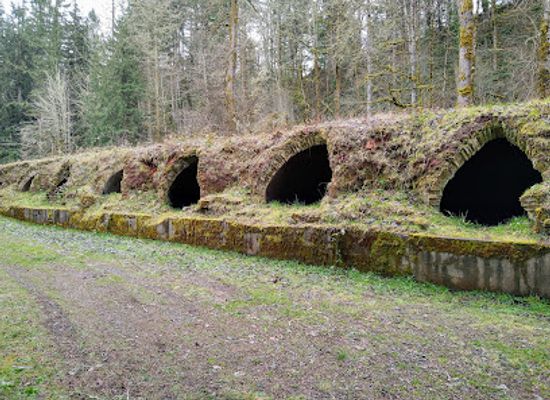 washington/western-washington/landmark/wilkeson-historic-coke-ovens