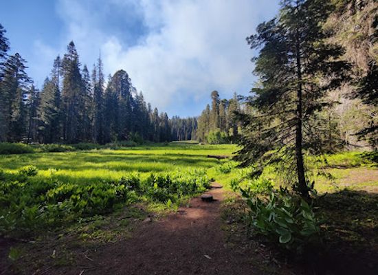 california/sequoia-national-park/landmark/crescent-meadow